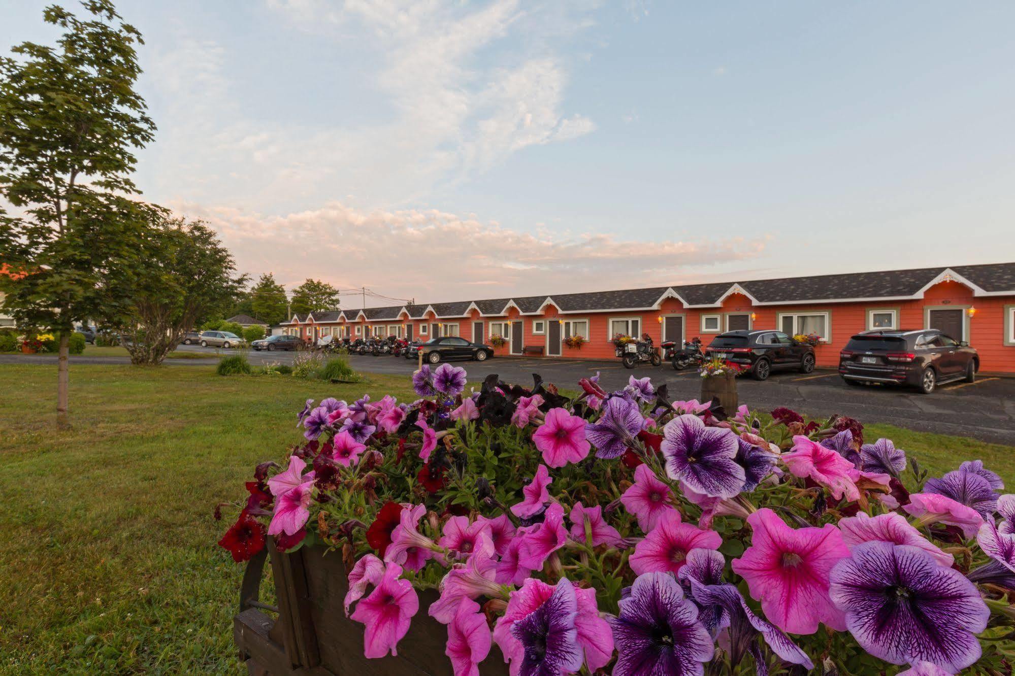 Motel Au Fleuve D'Argent Rivière-du-Loup Exteriör bild
